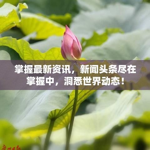掌握最新資訊，新聞?lì)^條盡在掌握中，洞悉世界動(dòng)態(tài)！