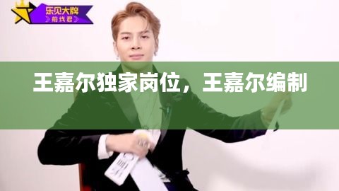 王嘉爾獨(dú)家崗位，王嘉爾編制 