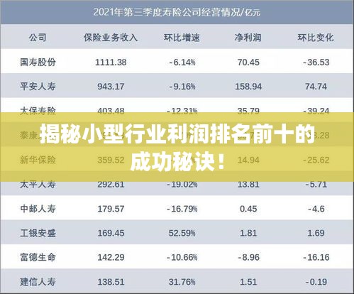 揭秘小型行業(yè)利潤(rùn)排名前十的成功秘訣！