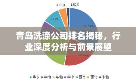 青島洗滌公司排名揭秘，行業(yè)深度分析與前景展望