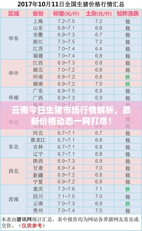 云南今日生豬市場行情解析，最新價(jià)格動(dòng)態(tài)一網(wǎng)打盡！