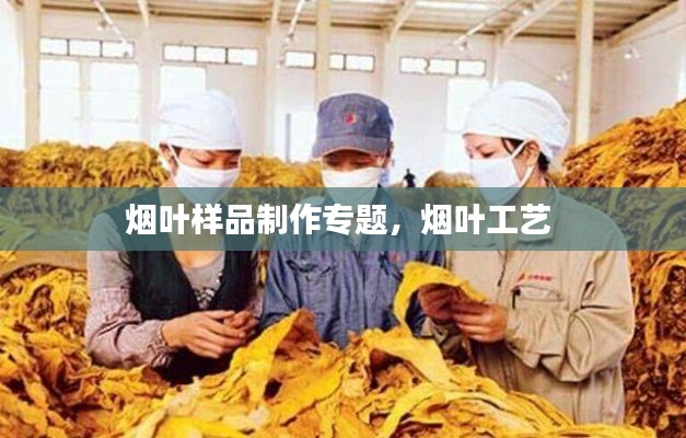 煙葉樣品制作專題，煙葉工藝 