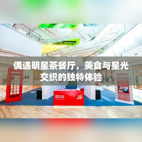 偶遇明星茶餐廳，美食與星光交織的獨(dú)特體驗(yàn)