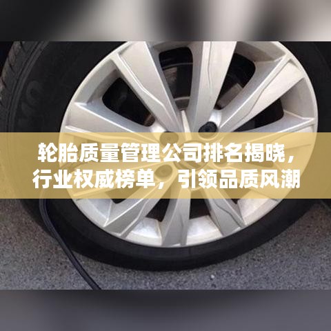 輪胎質(zhì)量管理公司排名揭曉，行業(yè)權(quán)威榜單，引領(lǐng)品質(zhì)風(fēng)潮！