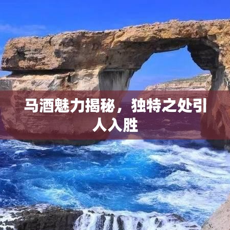 馬酒魅力揭秘，獨(dú)特之處引人入勝