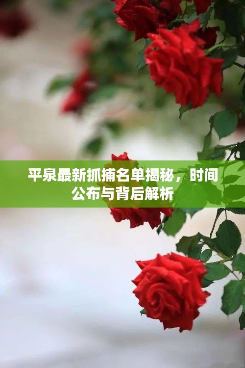 平泉最新抓捕名單揭秘，時間公布與背后解析