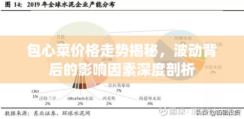 包心菜價(jià)格走勢(shì)揭秘，波動(dòng)背后的影響因素深度剖析