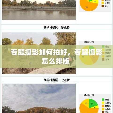 專題攝影如何拍好，專題攝影怎么排版 