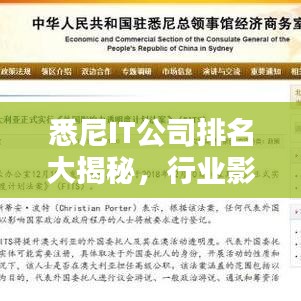 悉尼IT公司排名大揭秘，行業(yè)影響力深度解析