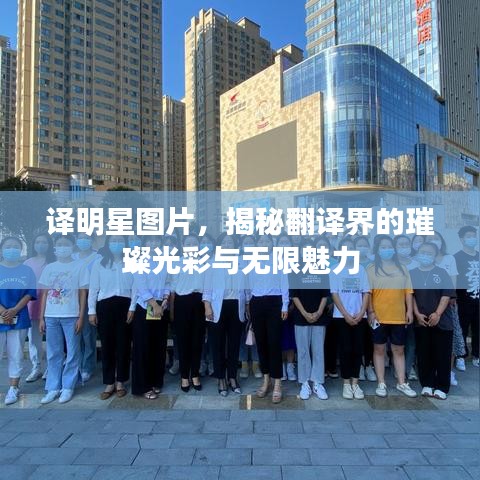 譯明星圖片，揭秘翻譯界的璀璨光彩與無限魅力