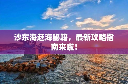 沙東海趕海秘籍，最新攻略指南來啦！