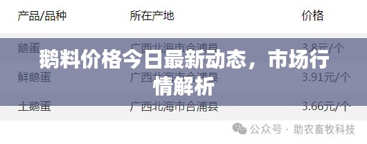 鵝料價(jià)格今日最新動(dòng)態(tài)，市場(chǎng)行情解析