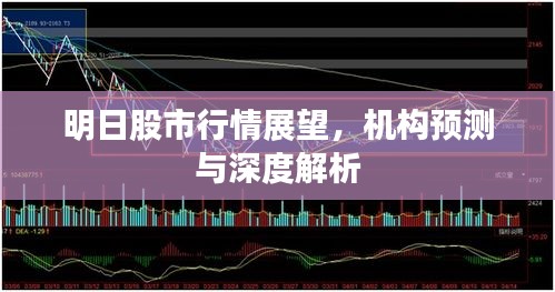 業(yè)績(jī)展示 第34頁(yè)