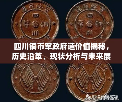 四川銅幣軍政府造價值揭秘，歷史沿革、現(xiàn)狀分析與未來展望