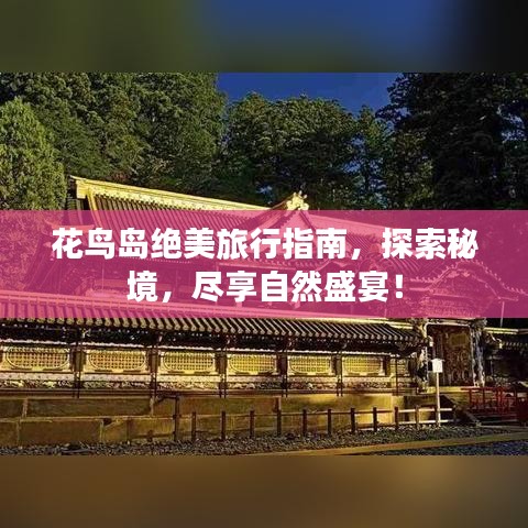 花鳥島絕美旅行指南，探索秘境，盡享自然盛宴！
