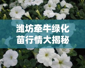 濰坊牽牛綠化苗行情大揭秘，最新價格分析與趨勢預測