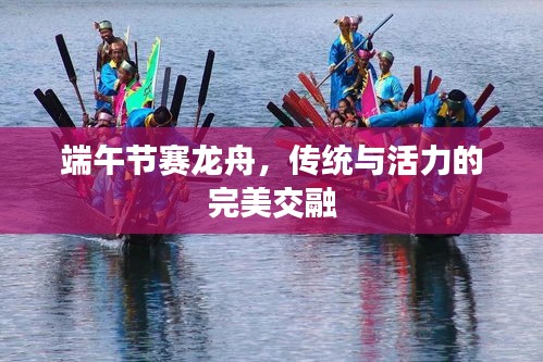 端午節(jié)賽龍舟，傳統(tǒng)與活力的完美交融