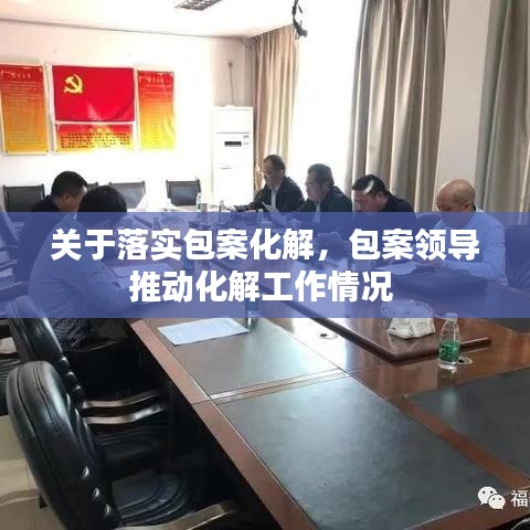 關(guān)于落實(shí)包案化解，包案領(lǐng)導(dǎo)推動(dòng)化解工作情況 