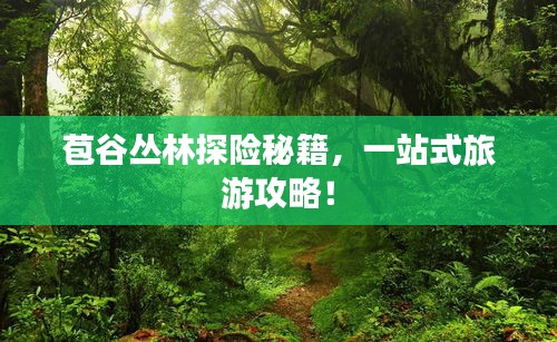 苞谷叢林探險(xiǎn)秘籍，一站式旅游攻略！