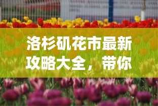 洛杉磯花市最新攻略大全，帶你暢游花海世界！