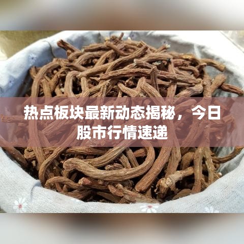 熱點板塊最新動態(tài)揭秘，今日股市行情速遞
