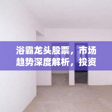 浴霸龍頭股票，市場趨勢深度解析，投資洞察必備指南