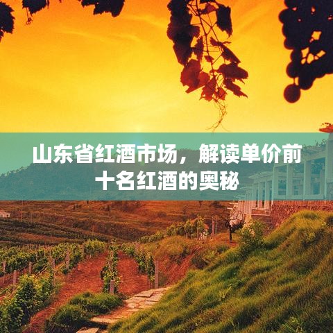 山東省紅酒市場，解讀單價(jià)前十名紅酒的奧秘
