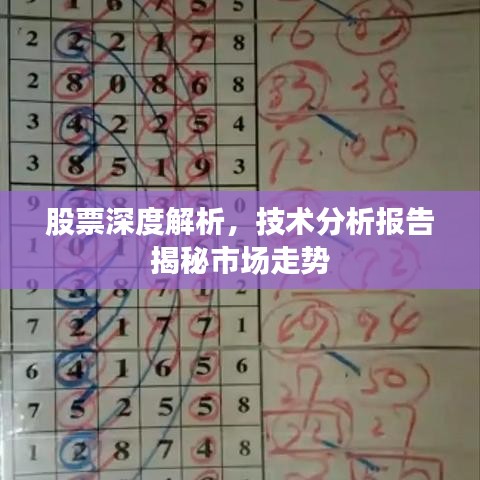 股票深度解析，技術(shù)分析報(bào)告揭秘市場走勢