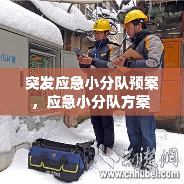 突發(fā)應(yīng)急小分隊(duì)預(yù)案，應(yīng)急小分隊(duì)方案 