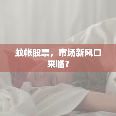 蚊帳股票，市場新風口來臨？