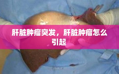 肝臟腫瘤突發(fā)，肝臟腫瘤怎么引起 