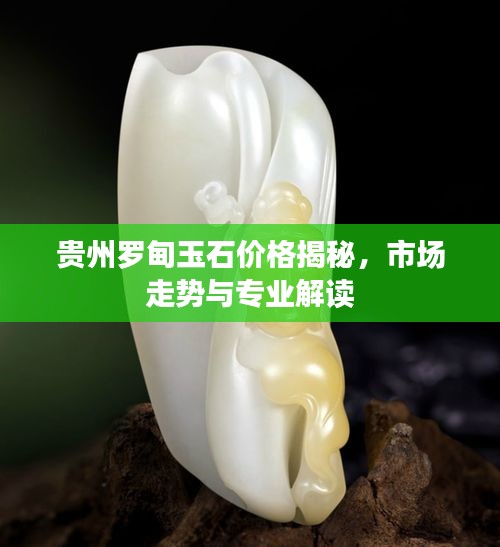 貴州羅甸玉石價(jià)格揭秘，市場走勢與專業(yè)解讀