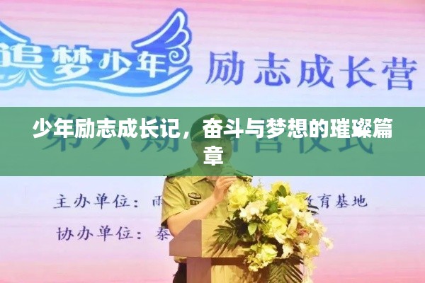 少年勵(lì)志成長記，奮斗與夢(mèng)想的璀璨篇章