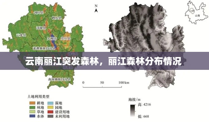 云南麗江突發(fā)森林，麗江森林分布情況 