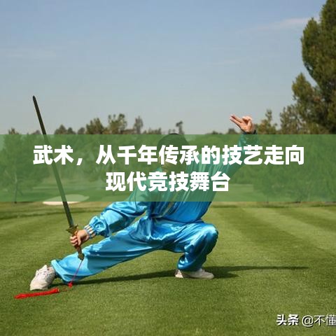 武術(shù)，從千年傳承的技藝走向現(xiàn)代競技舞臺(tái)