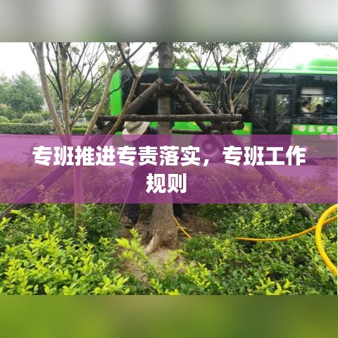專班推進(jìn)專責(zé)落實(shí)，專班工作規(guī)則 