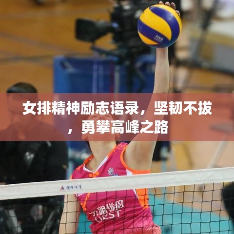 女排精神勵志語錄，堅韌不拔，勇攀高峰之路