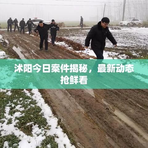 沭陽今日案件揭秘，最新動態(tài)搶鮮看