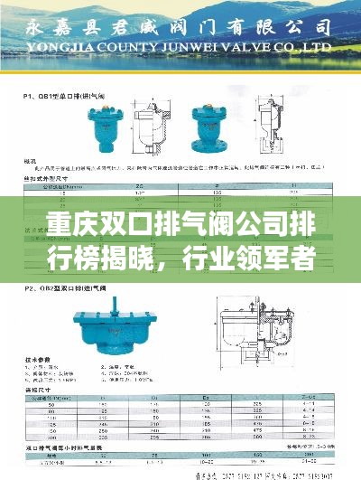 重慶雙口排氣閥公司排行榜揭曉，行業(yè)領(lǐng)軍者榜單！