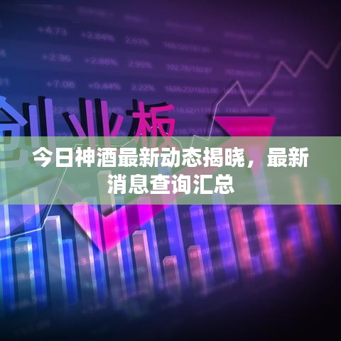 今日神酒最新動態(tài)揭曉，最新消息查詢匯總