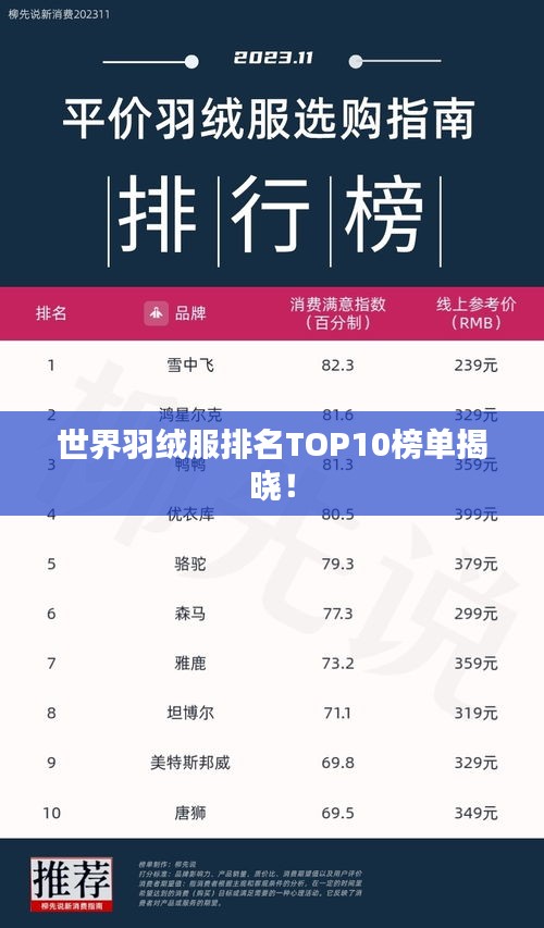 世界羽絨服排名TOP10榜單揭曉！