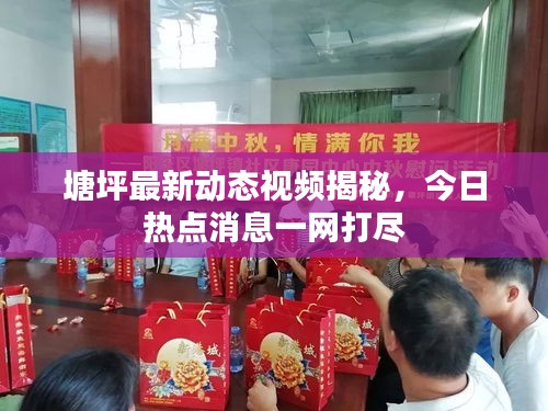 塘坪最新動態(tài)視頻揭秘，今日熱點消息一網(wǎng)打盡