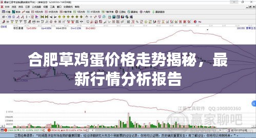 合肥草雞蛋價格走勢揭秘，最新行情分析報告