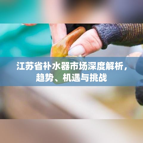 江蘇省補(bǔ)水器市場(chǎng)深度解析，趨勢(shì)、機(jī)遇與挑戰(zhàn)