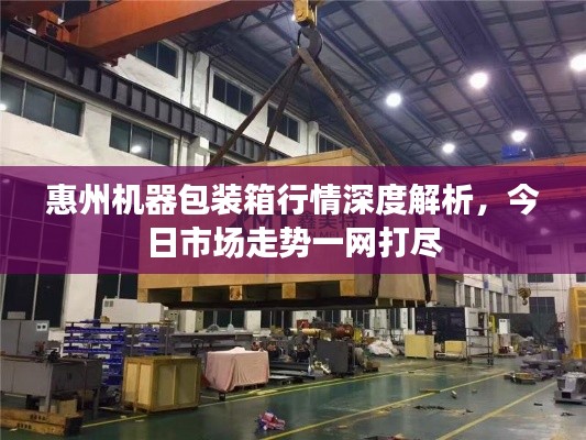 惠州機器包裝箱行情深度解析，今日市場走勢一網(wǎng)打盡