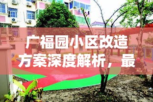 廣福園小區(qū)改造方案深度解析，最新動態(tài)一網(wǎng)打盡