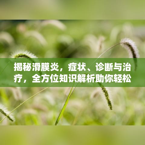 揭秘滑膜炎，癥狀、診斷與治療，全方位知識解析助你輕松應(yīng)對！