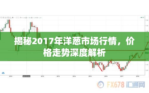 揭秘2017年洋蔥市場行情，價格走勢深度解析