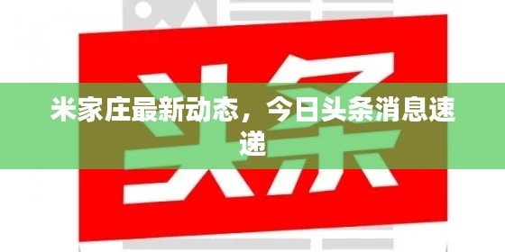 米家莊最新動(dòng)態(tài)，今日頭條消息速遞