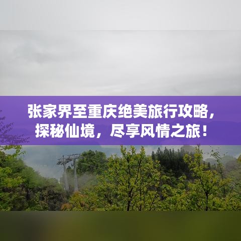 張家界至重慶絕美旅行攻略，探秘仙境，盡享風(fēng)情之旅！